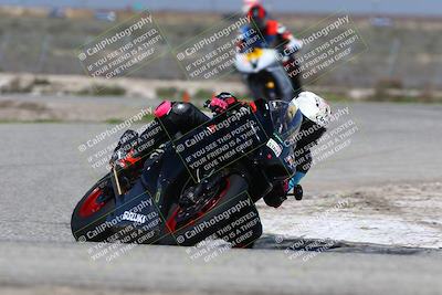 media/Mar-24-2025-2WTD (Mon) [[55b4b08488]]/B Group/220pm (Cotton Corners)/